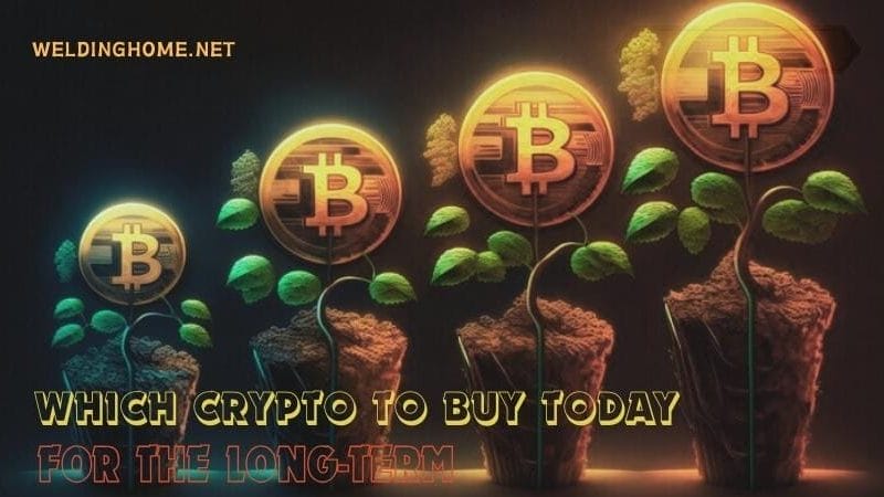 Which Crypto To Buy Today For The Long-Term